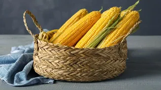 Creative Decor Tips For Turning Rustic Woven Baskets Into Eye-Catching Home Feature Pieces