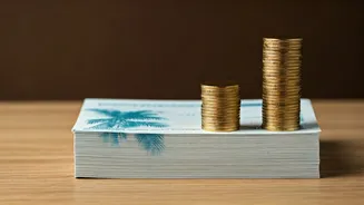 How Monthly Mutual Fund Allocations Pay For High End Holidays