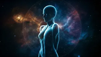 Related Stories banner