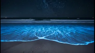 How marine science decodes chemical reactions behind glowing blue shoreline waters