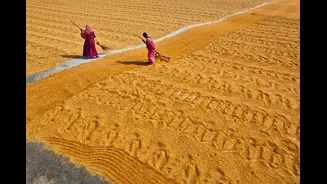 India and Egypt Collaborate on Sustainable Agriculture and Water Management