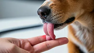 Dog Lick to Sepsis: A Case Study on Early Warning Signs & Prevention