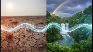 How El Niño And La Niña Shape India's Weather Differently