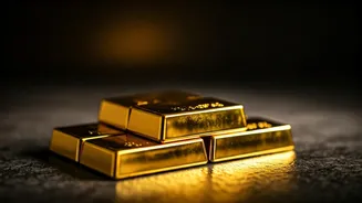 Digital Gold or SGBs: Which is better?