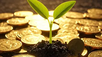 Why Early Career SIPs Generate Exceptional Returns Thanks To Decades Of Compounding Growth