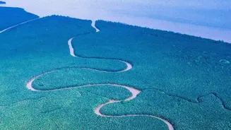 Why Satellite Imaging Confirms Sundarbans Mangroves Are Crucial For Coastal Defense Models