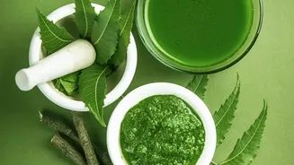 Why Eco-Conscious Plant Owners Choose Neem Oil And Soapy Water To Maintain Lush Balcony Greenery Always