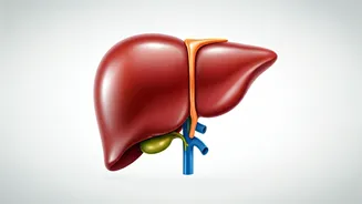 Ghee & Oil Farewell: Body's Transformation