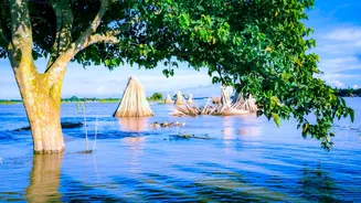 Assam Flood Fury: Toll Climbs To 41 As Sivasagar Battles Chest-Deep Waters
