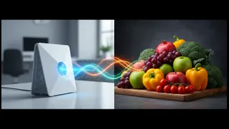 Beyond internet access as purely digital infrastructure, Internet Access And Indian Diets highlights the relationship between connectivity and cons...