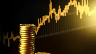 Emergency Fund Rules How Liquid Assets Save Young Workers During Income Disruptions