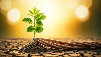 Growth And Flexibility Are Shaping Career Choices