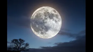 January’s First Full Moon Of 2026: When And How To Watch Wolf Supermoon