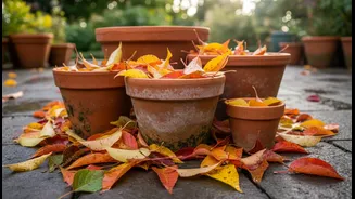 Clear Fallen Leaves Before They Decay Around Damp Pots