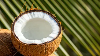 Unveiling Coconut's Bounty: Benefits & Budget Focus