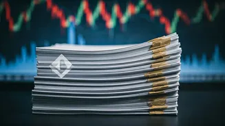 Shadowfax Tech IPO: Is It Worth Applying?