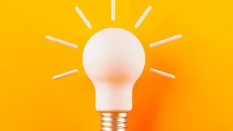Why Ten Minutes Of Early Sun Every Day Transforms Mental Sharpness