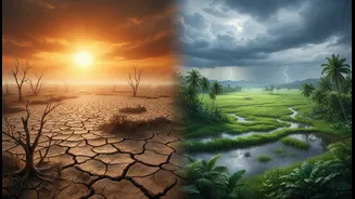 El Niño And La Niña Explained For India's Weather And Monsoon