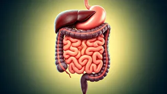 Beat the Bloat: Expert Hacks for Comfortable Digestion After Heavy Meals