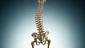 Unlock Your Spine's Potential: Master the Wall Angel for Superb Flexibility