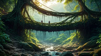 Cherrapunji Root Bridges Are Worth The Rainy Trek