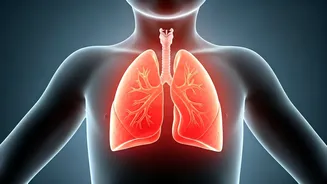 PM2.5's Impact on Children: A Health Guide