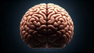 Related Stories banner