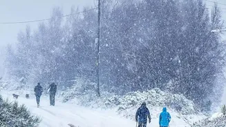 Thousands Chased One Family Place in the Village of Arenillas