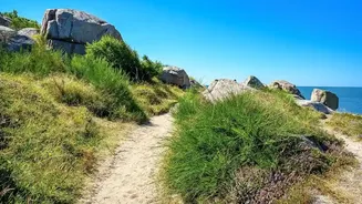 Planning An Epic Scandinavian Walking Holiday? Check Out Sweden Top Scenic Trails
