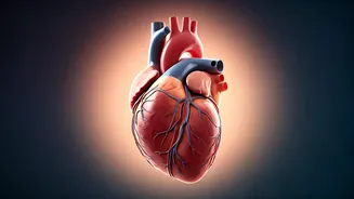 10 Simple Ways to Live Longer: A Cardiologist's Guide