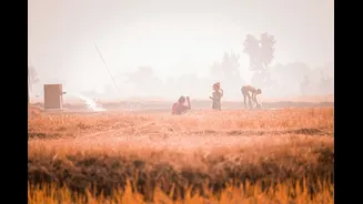 ICAR-MGIFRI promotes climate-resilient farming in flood-affected Bihar