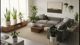 Low-Light Plants Make Cosy Flats Feel Fresher