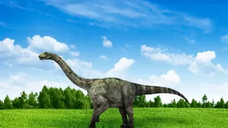 How The New Tiny-Dinosaur Study Helps Explain A New Explanation For Small Dinosaurs