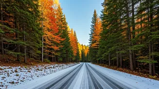 Escape to France: 9 Gems for Fall & Winter