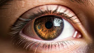 Beyond Screens: Uncovering the Hidden Causes of Eye Fatigue and Vision Care