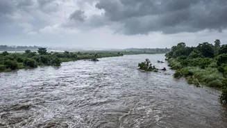 Uttar Pradesh Tracks Tributaries Linked to Nepal's Flooded Valleys