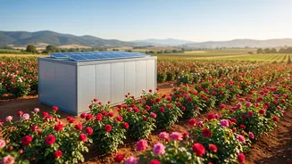 Solar-Powered Cold Chain Hubs Boost Profits For Bengaluru Rural Rose Growers