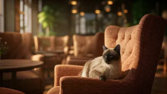 Mumbai Cat Cafés Witness Peak Weekend Footfall Trends Weekly
