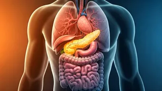 Endocrinology's Soul: Prevention & Lifestyle as Key Prescriptions at PGIMER Conference