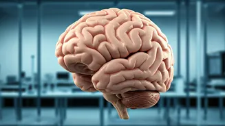 Unveiling Alzheimer's: Why Women Face Higher Risk