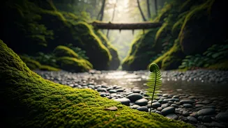 Related Stories banner