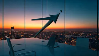 Indian Student's Zepto Choice: Corporate vs. Startup