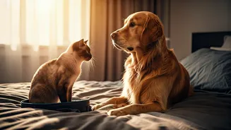 Pets spark debate on group trips