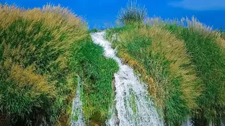 September Hill Trips: Practical Advice For Rain-Affected Indian Destinations