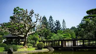 The Best Japanese Urban Parks That Beautifully Blend Traditional Landscaping With Modern Cityscapes