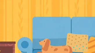 Why Creating Dark Cozy Corners Reduces Thunderstorm Anxiety In City Dogs
