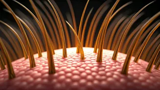 Healthy Scalp, Better Hair: Beauty’s New Equation