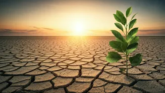 A Drier July Could Influence More Than Rain