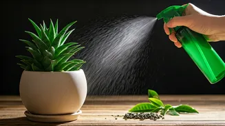 Cool Leftover Green Tea Spray Acts As Natural Fertilizer