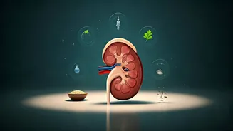 Kidney Care: 7 Everyday Foods and Habits to Rethink for Better Health